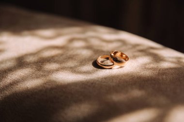 Gooms ev içinde alyans. Güneş ışınları Yüzüklerin düşmek