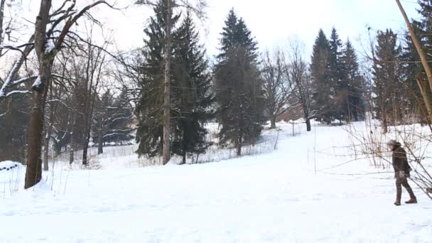 Jongen en meisje rodelen. Besneeuwde winterweer. Gelukkige familie. Kerstsfeer. Man helpt meisje rodelen — Stockvideo