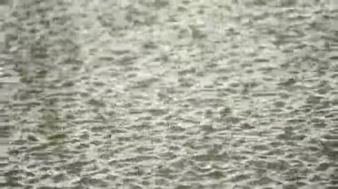 Su birikintisi üzerinde ıslak zemin, soyut doğa arka hava yağmurlu gün ağır yağış, su yüzeyine sıçramasına yağmur damlaları kadar ağır çekim video kapatın
