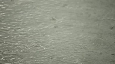 Şiddetli yağmur su sonbahar hava. Yağmur damlaları ve kabarcıklar. Su damlaları göle düşmek. Slow motion video