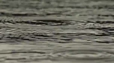 Şiddetli yağmur su sonbahar hava. Yağmur damlaları ve kabarcıklar. Su damlaları göle düşmek. Slow motion video