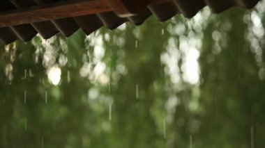 Yağmur closeup arkadan aydınlatmalı bir çatı üzerinden bir sağanak sırasında bırakarak bırakır. Slow motion video.