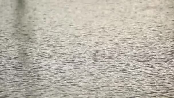 Regndroppar stänker vattenytan av pöl på våta golvet, abstrakt natur bakgrund av en regnig väder dag med regn, närbild slow motion video — Stockvideo