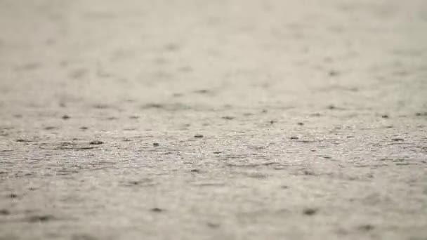Zware regen op water herfstweer. Regendruppels en bubbels. Waterdruppels vallen in het reservoir. Slow motion video — Stockvideo