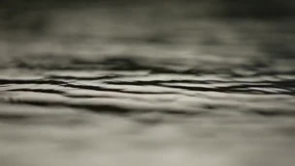 Tunga regndropparna på ytan av vatten. Smal sjö neath staden. skyfall. Slow motion video — Stockvideo