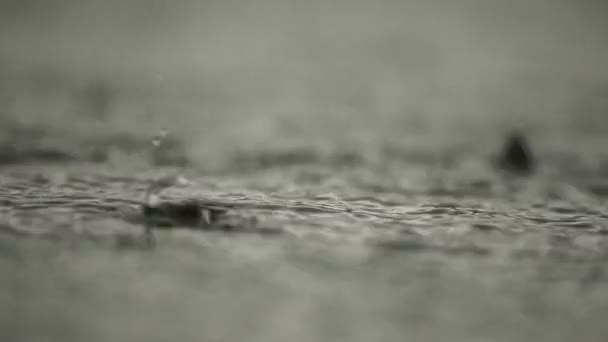 Fuertes gotas de lluvia en la superficie del agua. Lago Smal debajo de la ciudad. aguacero. Vídeo en cámara lenta — Vídeos de Stock