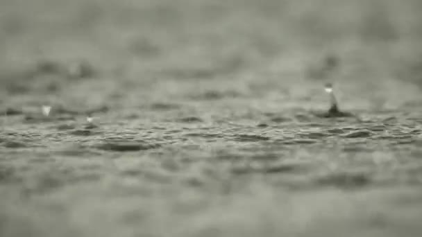 Starke Regentropfen auf der Wasseroberfläche. Ein kleiner See unterhalb der Stadt. Regenguss. Zeitlupenvideo — Stockvideo