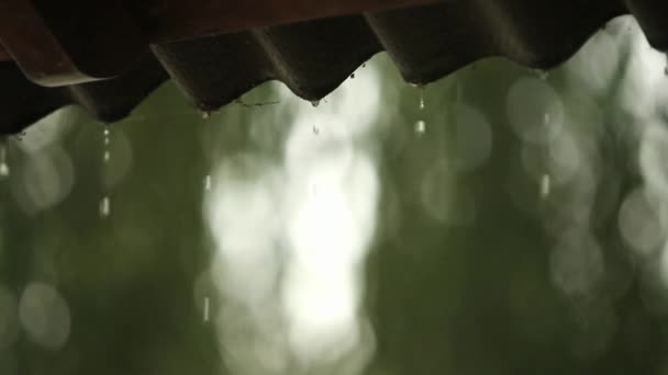 Gros plan de gouttes de pluie tombant en contre-jour d'un toit lors d'une averse. Vidéo au ralenti — Video