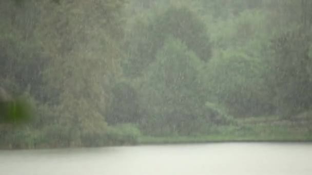Βίντεο αργής κίνησης της βροχής που πέφτει. Φθινοπωρινές καιρικές συνθήκες — Αρχείο Βίντεο