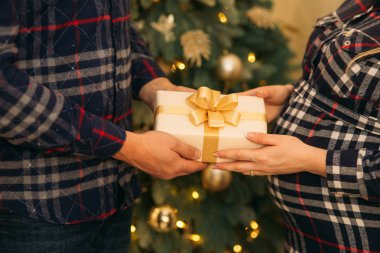 Genç bir çift bir hediye tutuyor. Noel ruh hali ve tatil hediye