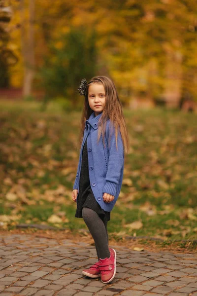 Retrato de menina no parque de outono. Modelo menina posa para fotógrafo. Criança feliz — Fotografia de Stock