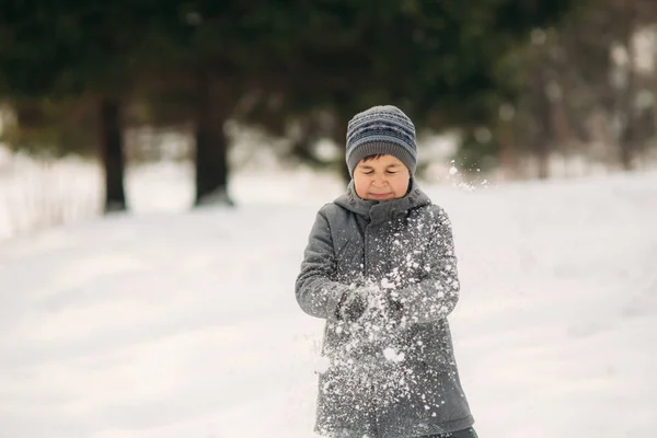 Little Boy Walks Park Winter Weather Play Snowballs Rejoiced Waiting — Stock Photo, Image