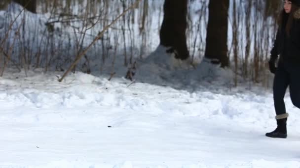 Caminhada feliz casal na floresta de neve. Eles vestiram-se com roupas de inverno — Vídeo de Stock