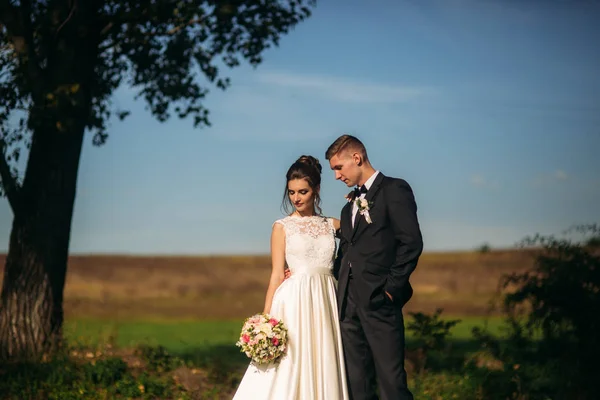 Pohádkové svatební pár stojí na pozadí modré oblohy — Stock fotografie