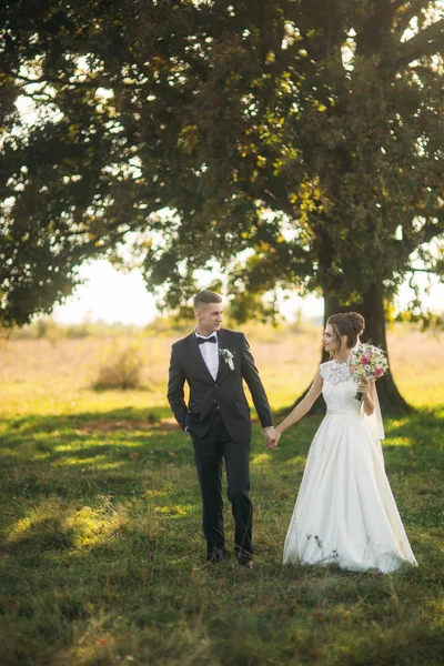 Stilvolles Brautpaar, das am Hochzeitstag mit Blumenstrauß auf dem Feld spaziert. Mitten auf dem Feld steht ein großer Baum — Stockfoto