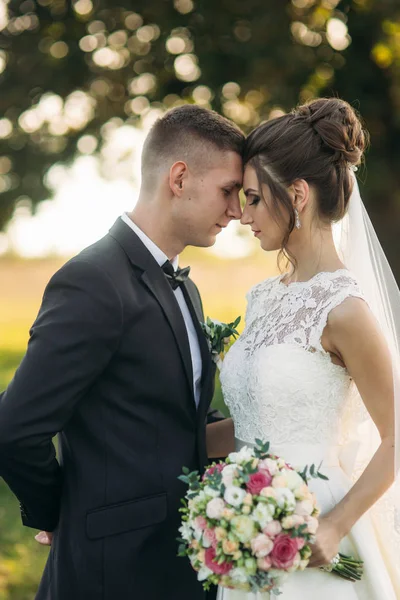 Stijlvolle paar gelukkig jonggehuwden wandelen in veld op hun trouwdag met boeket. In het midden van het veld is ther een grote boom — Stockfoto