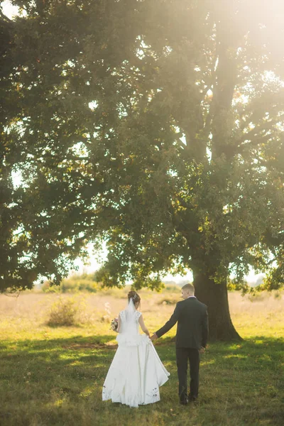 Casal elegante de recém-casados felizes andando em campo em seu dia de casamento com buquê. No meio do campo está uma grande árvore. — Fotografia de Stock