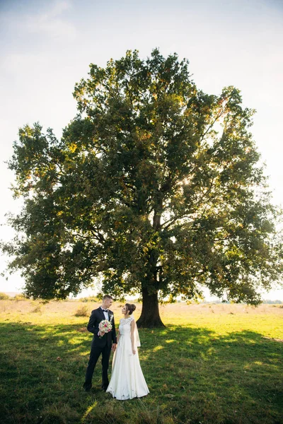 Стильна пара щасливих молодих людей, що ходять на полі в день весілля з букетом. Посередині поля тер це велике дерево — стокове фото