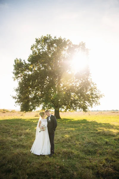 Stilvolles Brautpaar, das am Hochzeitstag mit Blumenstrauß auf dem Feld spaziert. Mitten auf dem Feld steht ein großer Baum — Stockfoto