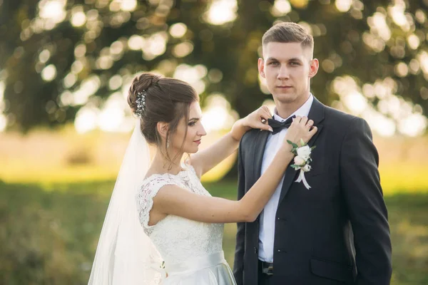 Stilvolles Brautpaar, das am Hochzeitstag mit Blumenstrauß auf dem Feld spaziert. Mitten auf dem Feld steht ein großer Baum — Stockfoto