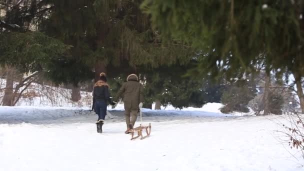 Muchacho y chica en trineo. Clima nevado de invierno. Familia feliz. Humor de Navidad — Vídeo de stock