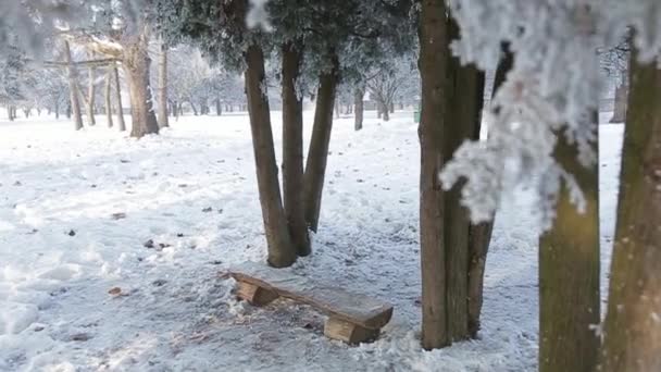 Hermoso paisaje de invierno en el parque. Invierno nevado — Vídeos de Stock