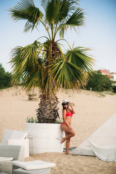 Sexy Mädchen in einem rosa Badeanzug am Strand. steht sie neben der großen Palme. Modemodel mit Sonnenbrille und Hut — Stockfoto