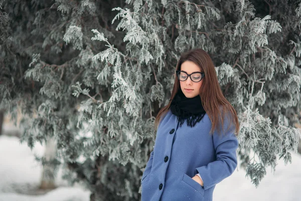 Gyönyörű fiatal nő, fekete szemüveg viselése tél bevon befest kobalt kék és fekete sál fedi hópelyhek. Háttér, fehér fa — Stock Fotó