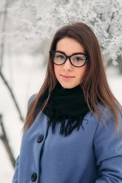 Gyönyörű téli portré fiatal nő a téli havas táj. Új év — Stock Fotó