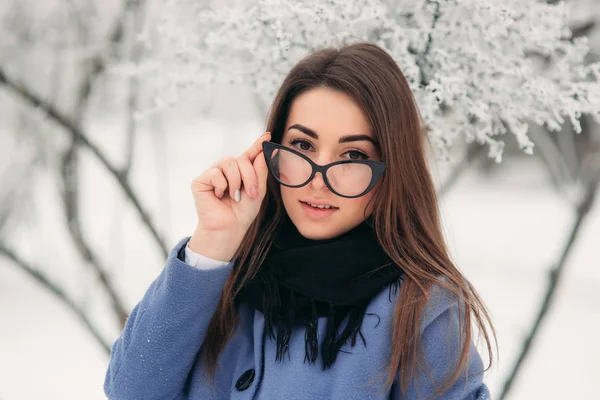 Gyönyörű téli portré fiatal nő a téli havas táj. Új év — Stock Fotó