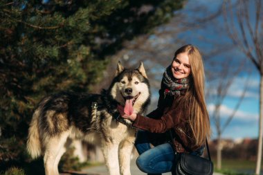 Gülümseyen bir kız ile bir köpek set boyunca yürüyor. Güzel husky köpek