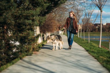 Köpeğiyle yürüyen genç bayan. Şık sarı saçlı kadın ile husky köpek