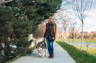 Köpeğiyle yürüyen genç bayan. Şık sarı saçlı kadın ile husky köpek
