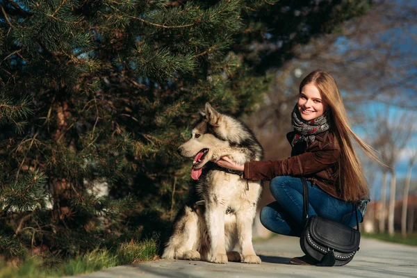 En leende flicka går med en hund längs banvallen. Vackra husky hunden — Stockfoto