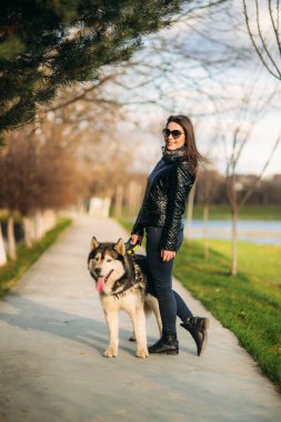 Güzel esmer Bayan ile bir köpek set boyunca yürüyüş. Güzel husky köpek