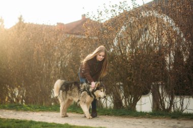 Sarışın Bayan modeli fotoğrafçı husky köpek ile poz veriyor