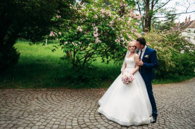 Güzel düğün çifti Park'ta yürüyordunuz. Mutlu yeni evliler