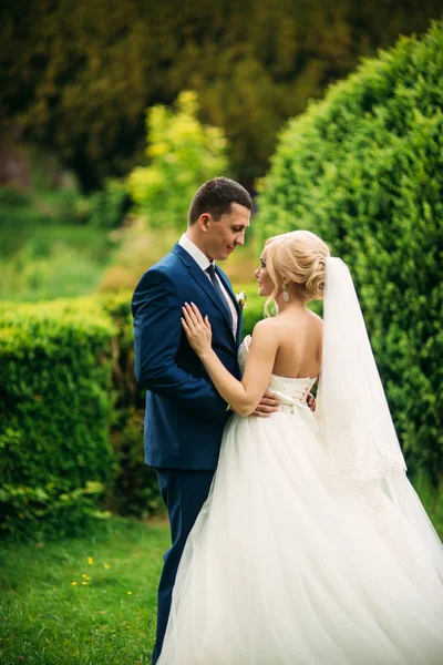 Beautiful wedding couple walking in park. Happy newlyweds — Stock Photo, Image