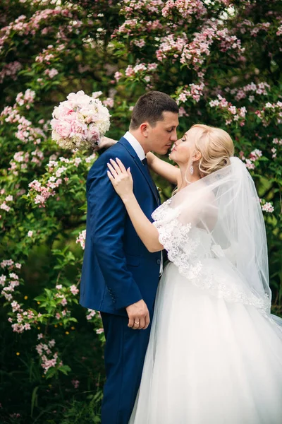 Schöner Bräutigam umarmt seine Braut an ihrem Hochzeitstag. Hintergrund der blühenden Bäume — Stockfoto