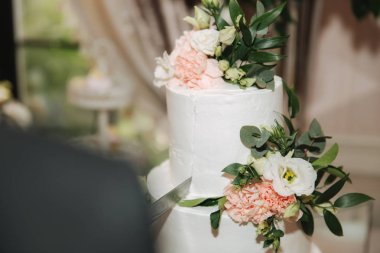 Güzel düğün pastası. Tatlı rüya. şeker çubuğu