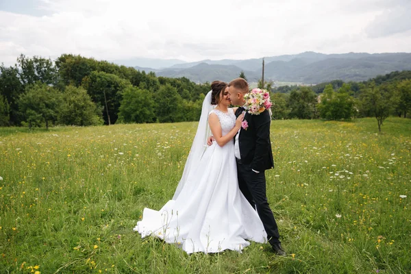 Vőlegény és a menyasszony állni a fiels. Háttérben a hegyek. Boldog pár — Stock Fotó