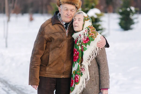 浪漫的老夫妇在冬季在公园里散步。永远的爱 — 图库照片