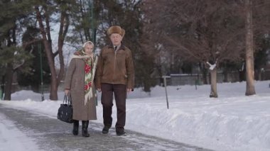 Kış zamanında parkta romantik üst düzey çift walkink. Sonsuza kadar seveceğim