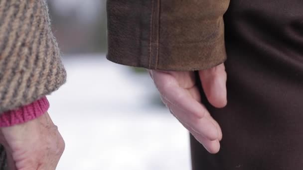 Des mains de personnes âgées. Homme et femme. Un couple. Grand-père et grand-mère. L'amour pour toujours — Video