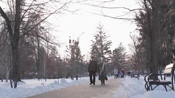 Bejaarde echtpaar ontspannen in de winter in het park. Gelukkig grootvader en grootmoeder lopen samen — Stockvideo