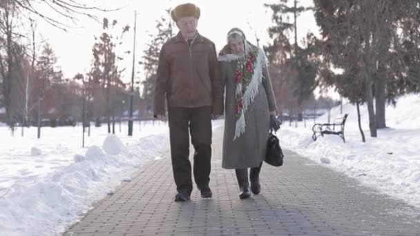 Ηλικιωμένο ζευγάρι χαλάρωσης το χειμώνα στο πάρκο. Χαρούμενος ο παππούς και η γιαγιά περπάτημα μαζί — Αρχείο Βίντεο
