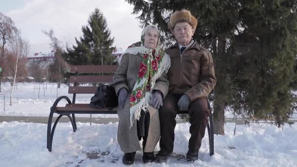 Üst düzey insanlar oturur üzerinde parkta benck. Mutlu yaşlı çift dışında kış aylarında vakit — Stok video
