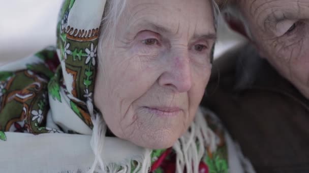 Nahaufnahme eines glücklichen Senioren-Paares. Eine ältere Frau küsst ihren Mann gewichtig. Ein altes Ehepaar spaziert im Winter durch den Park. glückliche Familie. Goldhochzeit — Stockvideo