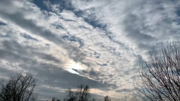 Cielo de invierno. Hermosa naturaleza. Cielo azul. 4K — Vídeos de Stock