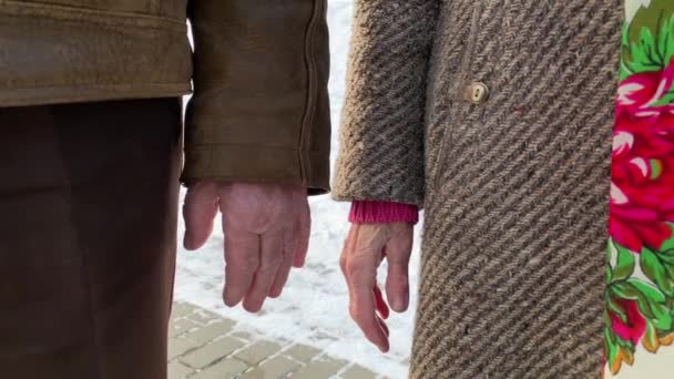 Närbild händerna på äldre människor. Manliga och kvinnliga. Par. Morfar och mormor. Love forever — Stockvideo